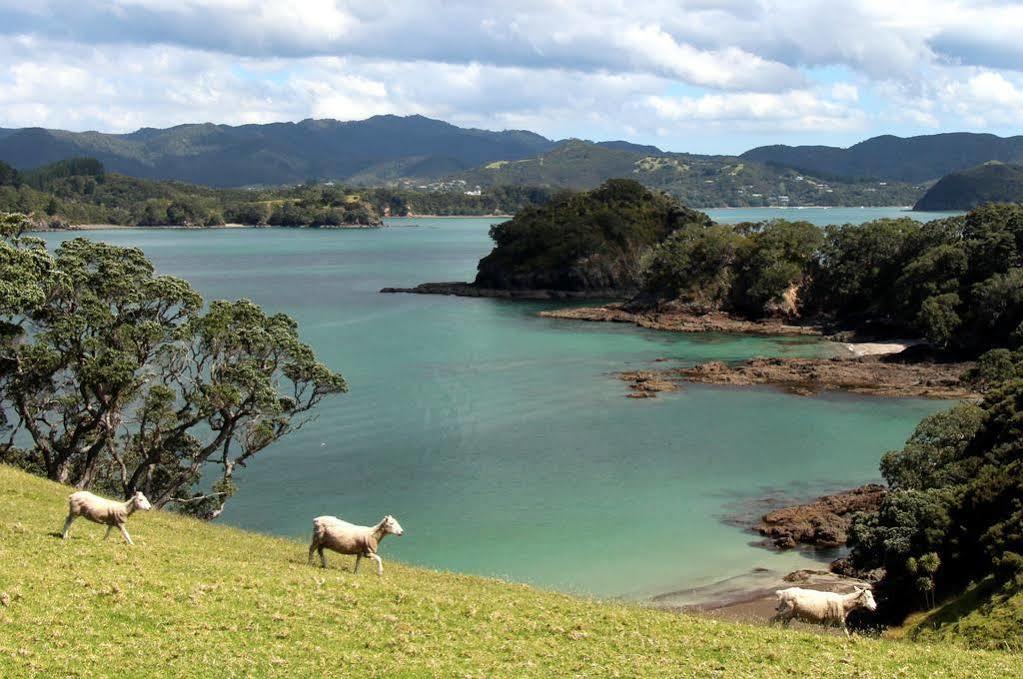 Pearl Of The Bay Motel Paihia Exterior photo